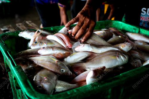 NELAYAN TERENGGANU