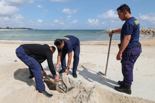 TUNTUNG LAUT MATI