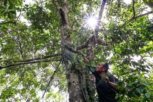 ANYAMAN SARUNG CEMPEDAK