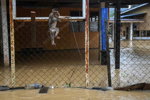 BANJIR_DUNGUN