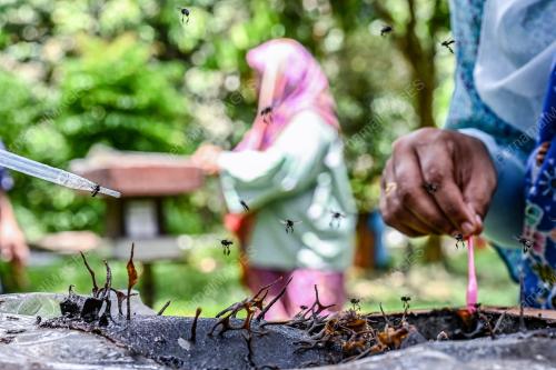 PROJEK TERNAKAN KELULUT KOMUNITI MADANI