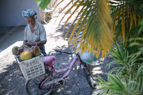WARGA EMAS BERBASIKAL JUAL DURIAN