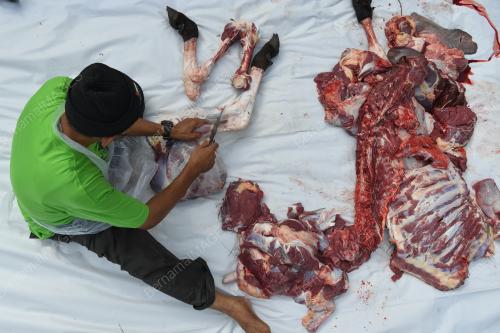IBADAH KORBAN AIDILADHA