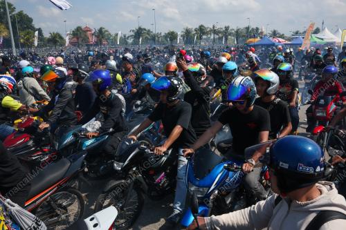 RXZ MEMBERS 7.0