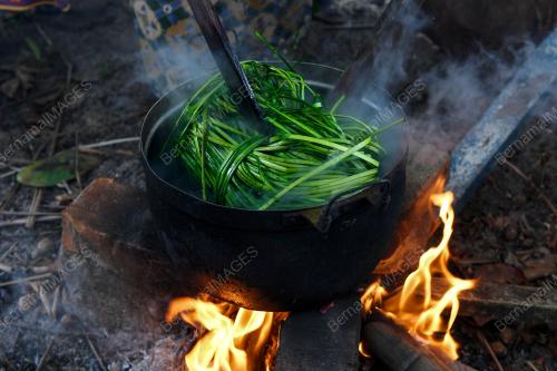 ANYAMAN DAUN MRNGKUANG