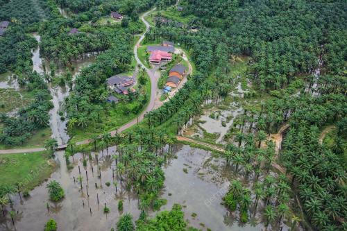 JBPM TINJAU KEADAAN BANJIR