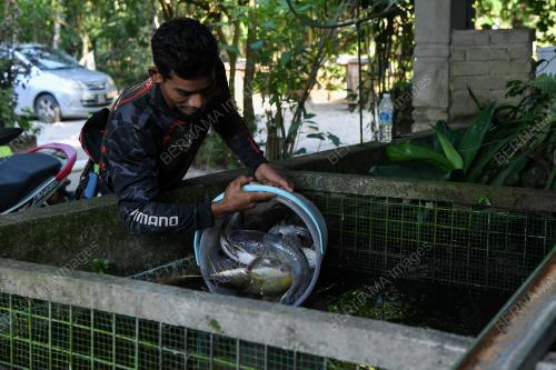 REZEKI DARI SUNGAI
