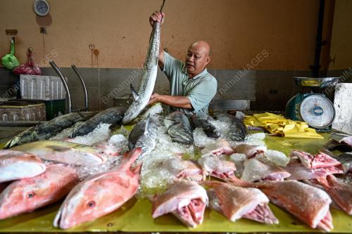 TINJAUAN PENIAGA IKAN