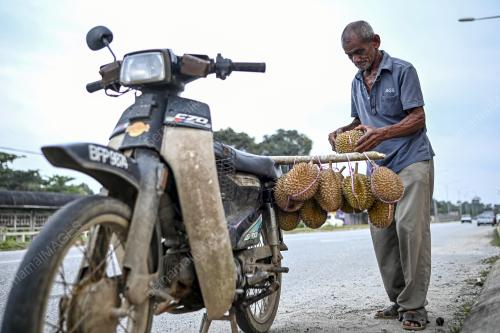 RAJA BUAH TERENGGANU