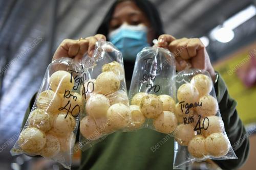 TELUR PENYU DI PASARAN