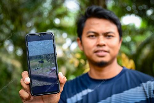 BERUANG_MATAHARI