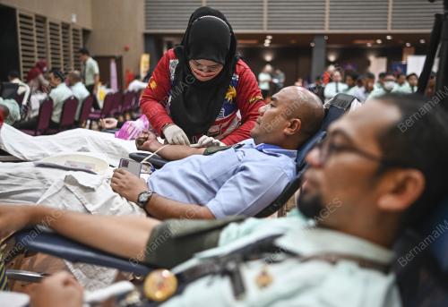 PROGRAM DERMA DARAH