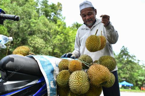 RAJA BUAH TERENGGANU