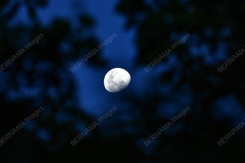 WAXING GIBBOUS MOON