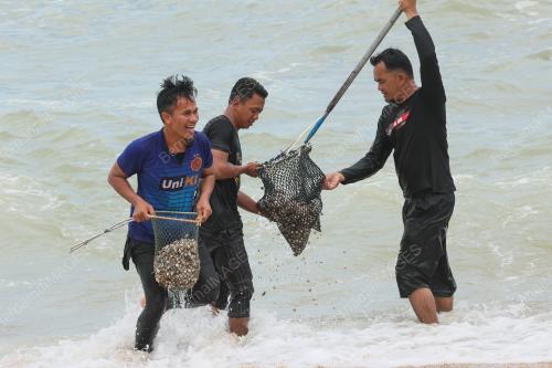 KERANG TERDAMPAR DI PANTAI