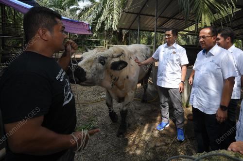TR11_15082019_AZMIN_LEMBU_BN201908147931