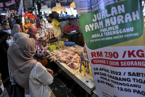 AYAM MURAH