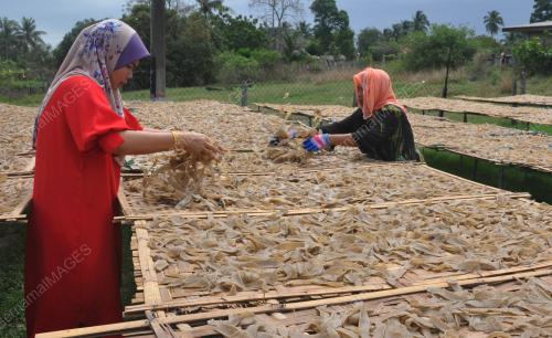 KEROPOK KERING