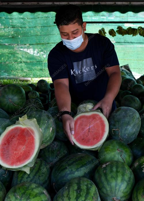 TIMUN CINA LARIS PADA RAMADAN