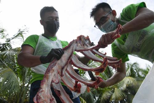 IBADAH KORBAN AIDILADHA