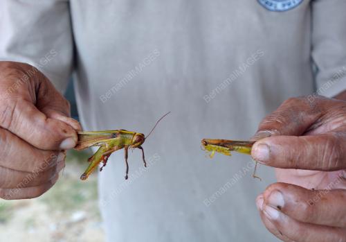 TR11_21102019_MOHAMMAD_SALLEH