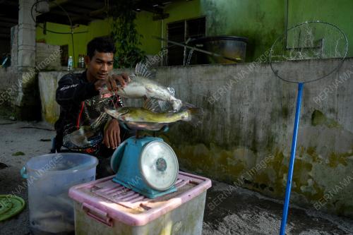 REZEKI DARI SUNGAI