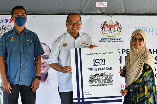 DATUK AHMAD AMZAD HASHIM
