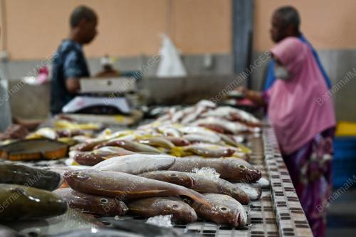 TINJAUAN PENIAGA IKAN