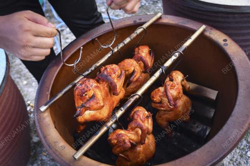 AYAM PASU KLASIK