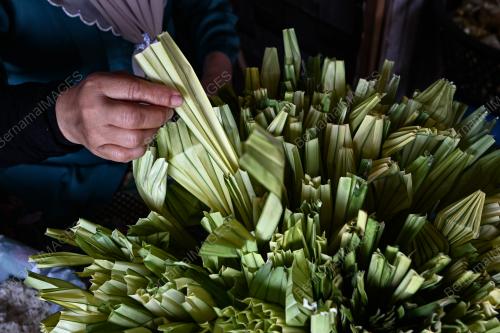 KETUPAT PALAS