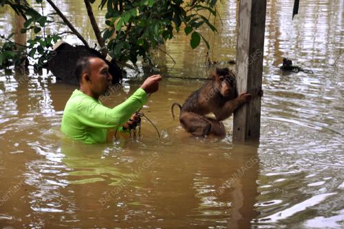 TR12_06012017_BANJIR