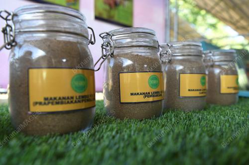FORMULASI MAKANAN LEMBU KK ELIT