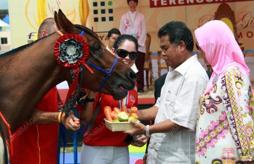 KEJOHANAN KUDA LASAK DUNIA 2008