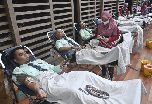 PROGRAM DERMA DARAH