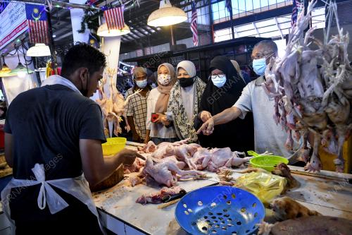 AYAM MURAH
