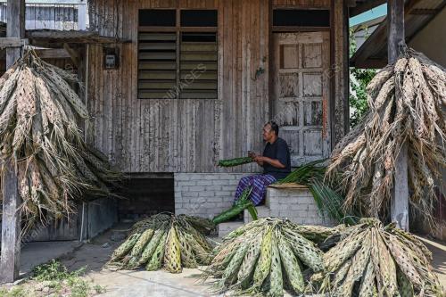 ANYAMAN SARUNG CEMPEDAK