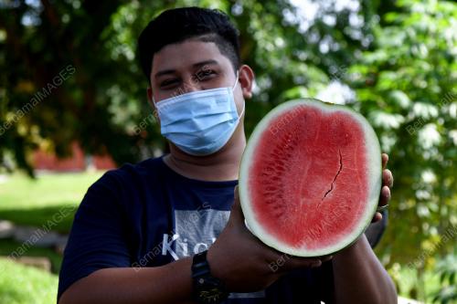 TIMUN CINA LARIS PADA RAMADAN