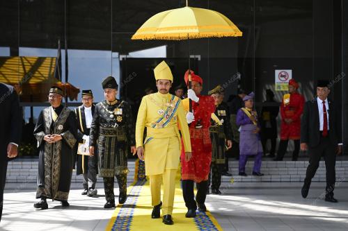 TENGKU MUHAMMAD ISMAIL