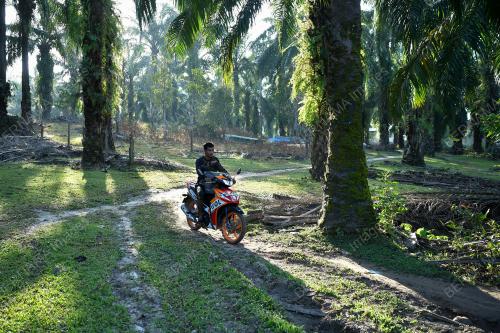 REZEKI DARI SUNGAI