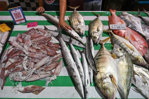 TINJAUAN PENIAGA IKAN