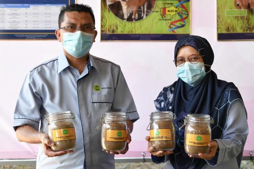 FORMULASI MAKANAN LEMBU KK ELIT