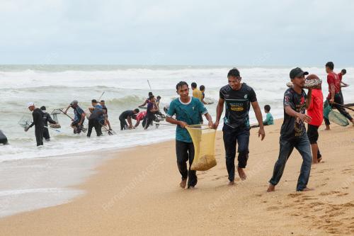 KERANG TERDAMPAR DI PANTAI
