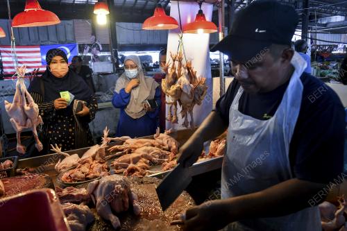 AYAM MURAH