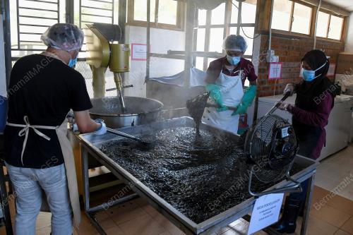 USAHAWAN KOPI TOKKIKITER