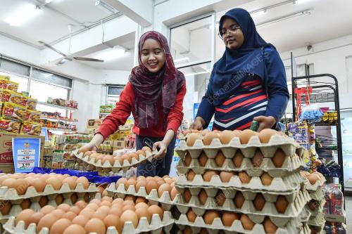JUALAN MURAH KELUARGA MALAYSIA