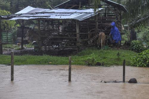 BANJIR DI KAMPUNG MATANG