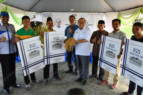 DATUK AHMAD AMZAD HASHIM