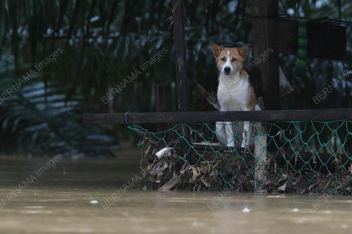 TR14_03122021_TERENGGANU_BANJIR