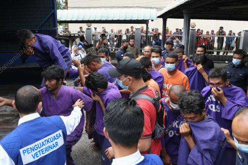 MAHKAMAH SESYEN KEMAMAN