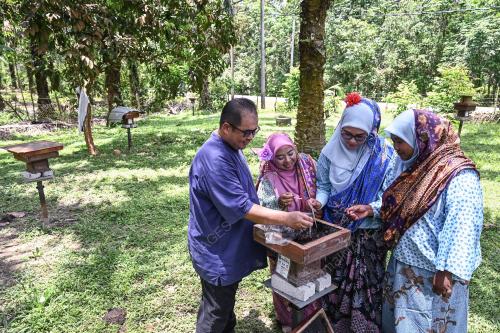 PROJEK TERNAKAN KELULUT KOMUNITI MADANI
